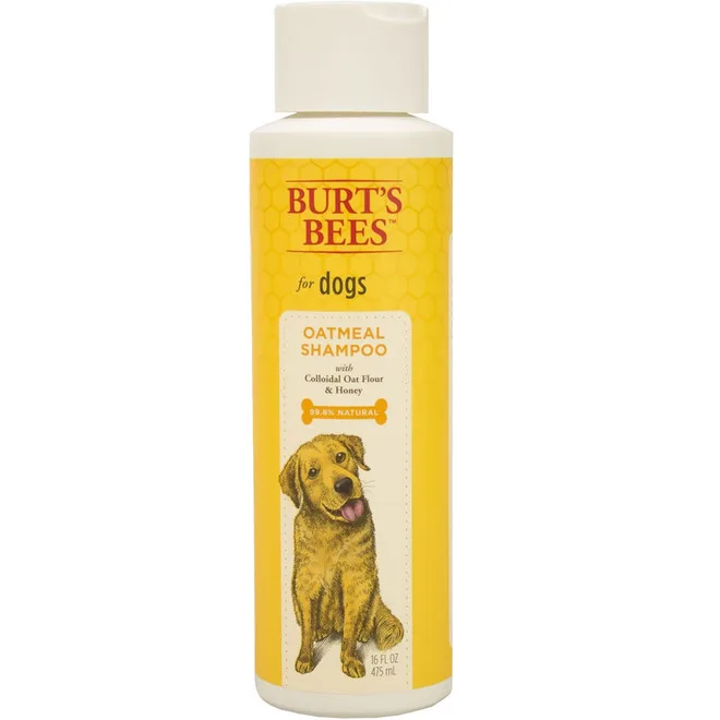 Burt's Bees for Dogs Oatmeal Shampoo image 3