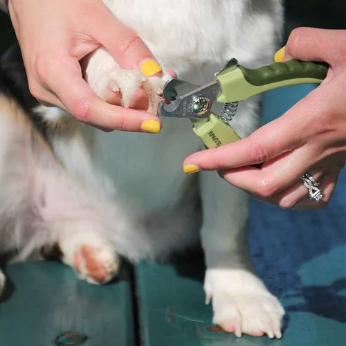 Safari Professional Nail Trimmer for Dogs image 2