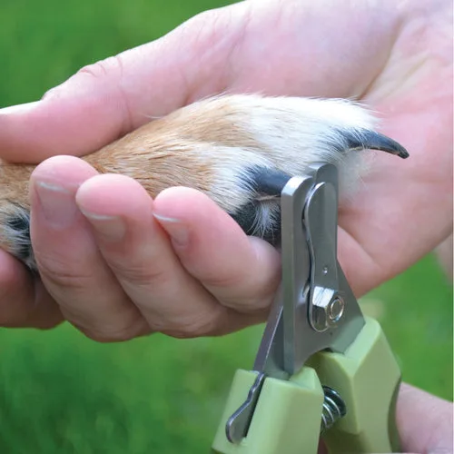 Safari Professional Nail Trimmer for Dogs image 3
